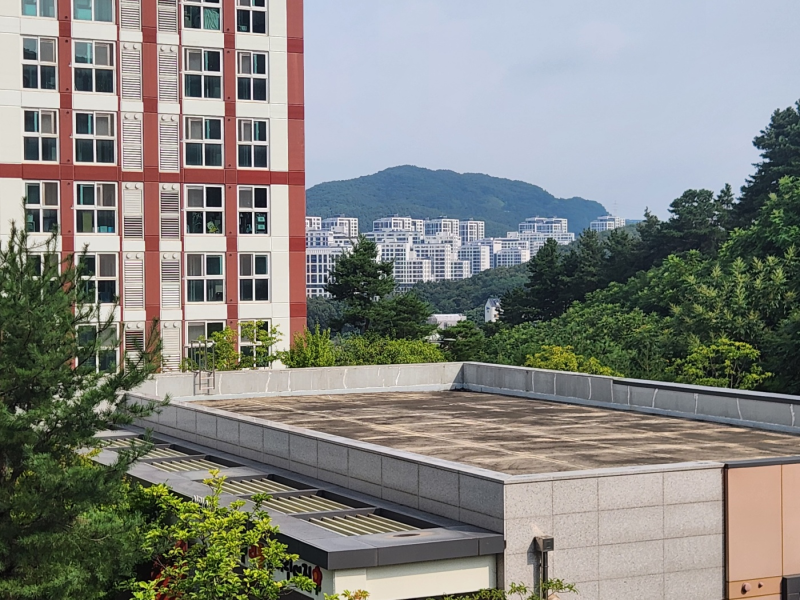 행복주택 자산초과 퇴거 위기, 출산가구로 소명하고 재계약 성공 후기