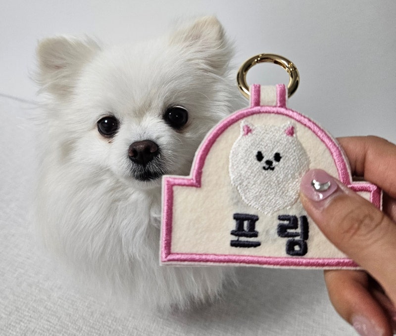 강아지 네임텍, 이름표에 이름만 적으면 안 되는 이유