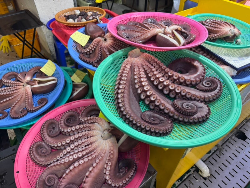 삼척 중앙시장 문어거리 백가네문어 문어숙회 1kg 가격 시세