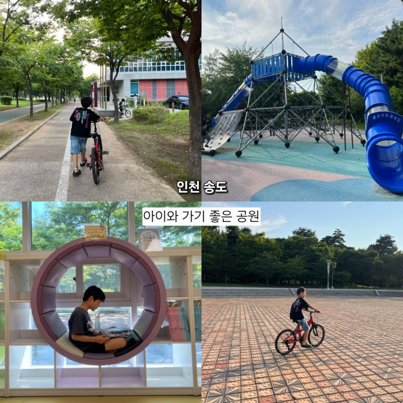 인천 송도 해돋이 공원 가을 주말 나들이