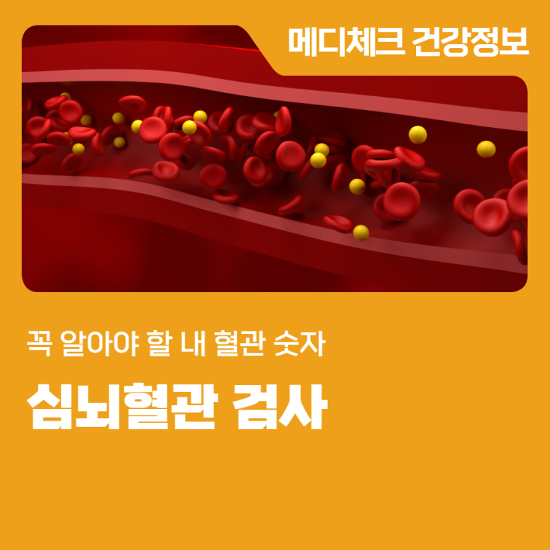 마산 종합건강검진 심뇌혈관 검사 꼭 알아야 할 내 혈관 숫자