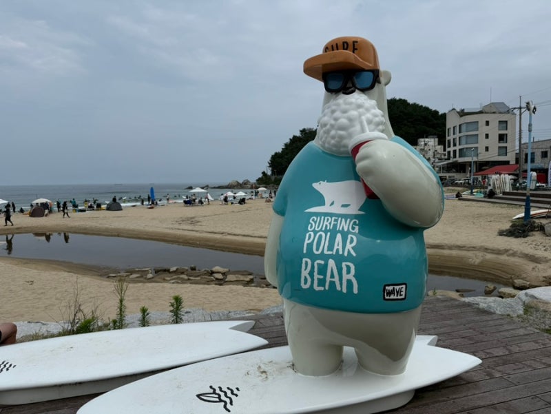 [E7 양양] 죽도해변 오션뷰 숙소, 예약 전 알아두면 좋은 객실 선택 팁