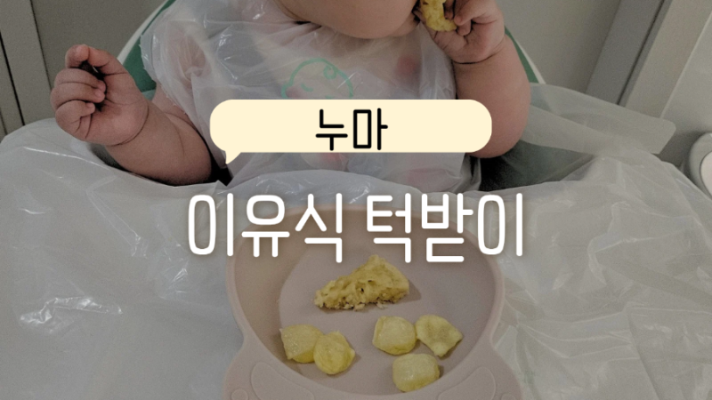 자기주도이유식 시작하고 써보니 너무 편한 누마 일회용 턱받이