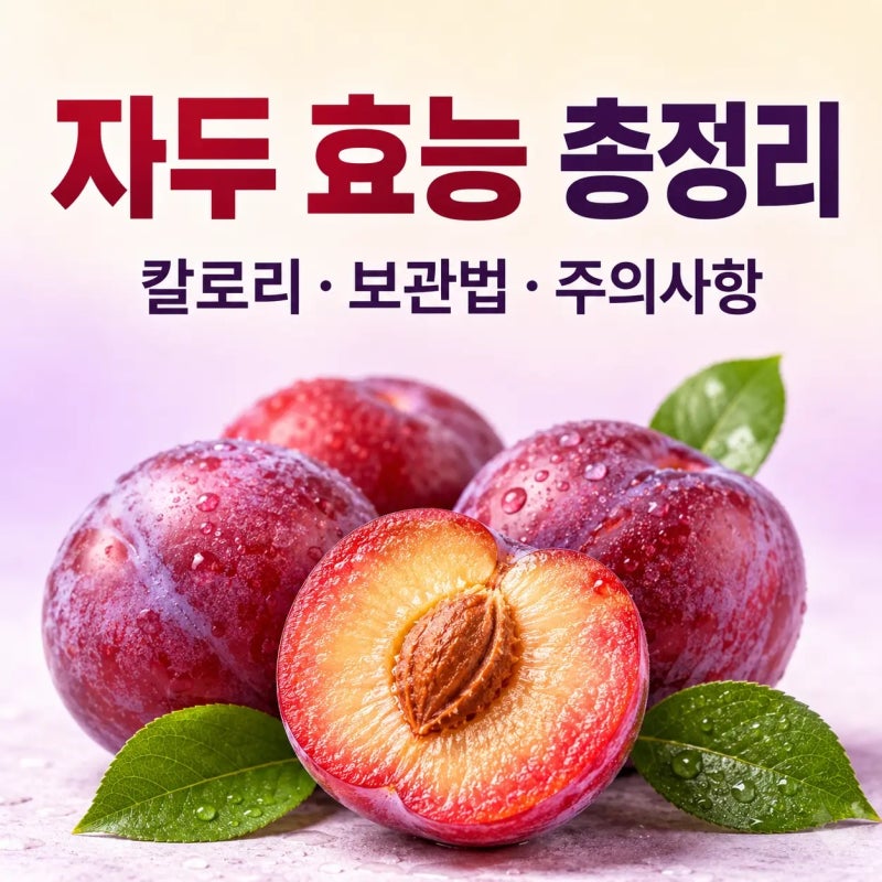 자두 효능과 건강정보｜칼로리·보관법·섭취 시 주의사항 총정리