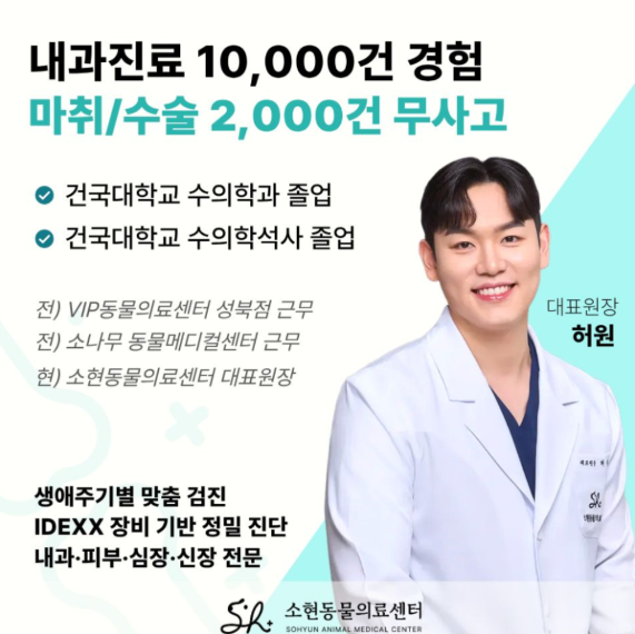 강아지정형외과, 어떻게 고르시나요? (슬개골/십자인대 수술 전후 영상으로 보여드립니다)