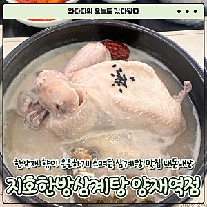 [지호한방삼계탕 양재역점] 한약재 향이 은은하게 스며든 국물 양재역 삼계탕 맛집 내돈내산