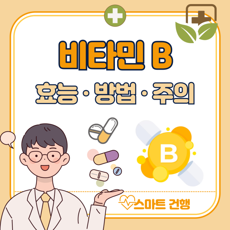 비타민B 효능, 역할, 부작용 : 비타민B군 음식