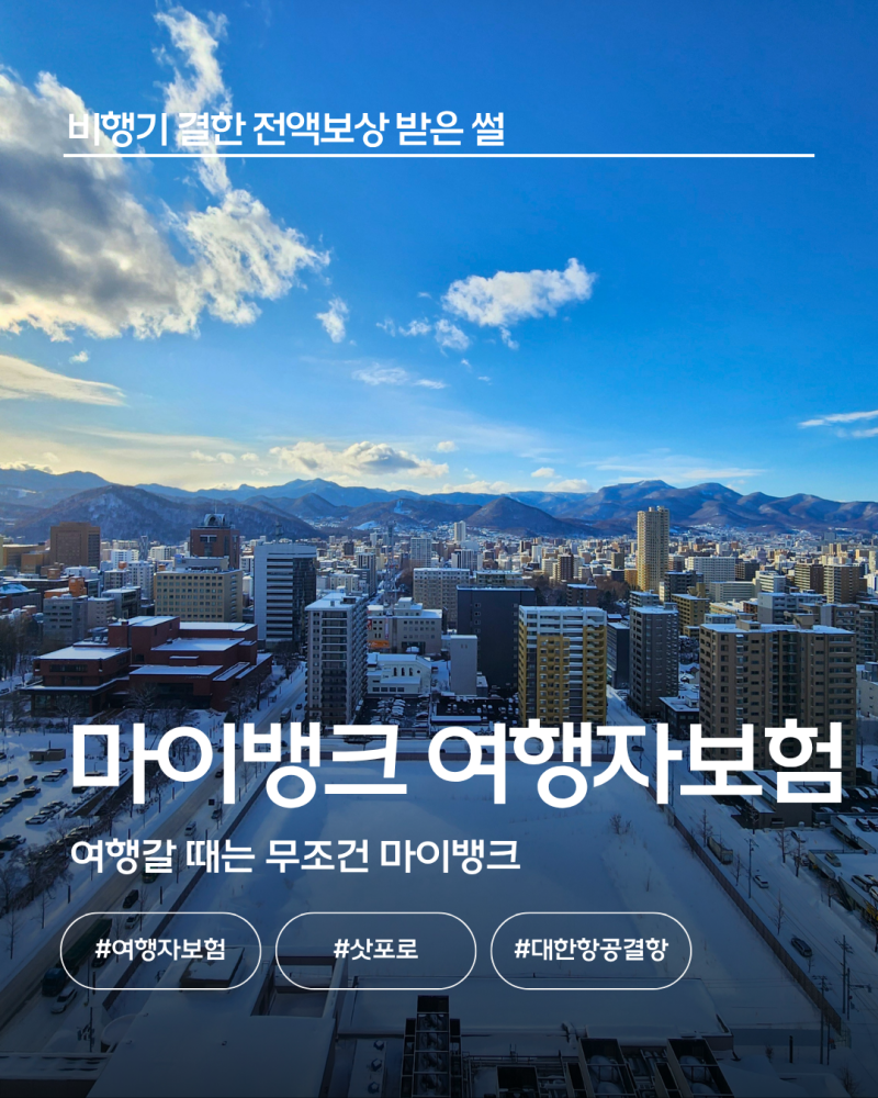 [삿포로] 북해도 비행기 폭설 결항, 여행자보험으로 전액 보상받고 숨겨진 꿀팁까지 '마이뱅....