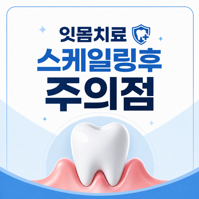 스케일링 후 식사 음식 이시림 주의사항 정리.