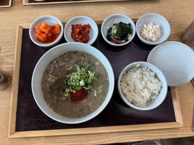 [제주도 서귀포] 고사리해장국 몸국 슴슴하게 맛있는집 탐나는식당 신효점 서귀포 아침식사 ....