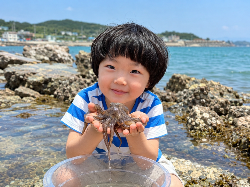 완도 문어 맛있게 삶는 법,                                   질기지 않고 야들야들하게!