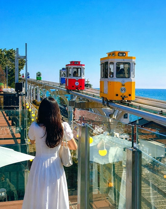 부산 해변열차 스카이캡슐 할인 예약 해운대 블루라인파크 비교