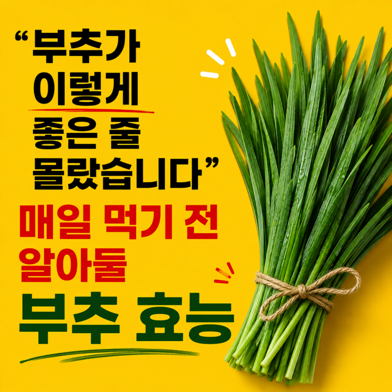 “부추가 이렇게 좋은 줄 몰랐습니다” 부추 효능과 섭취 주의점