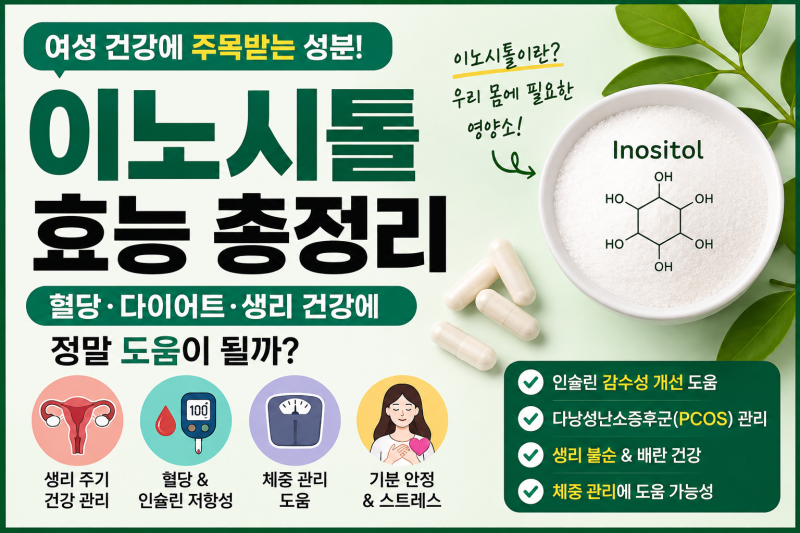 이노시톨 효능 총정리｜혈당·다이어트·생리 건강에 정말 도움이 될까?