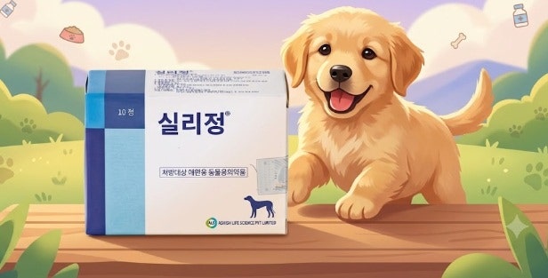 실리정 소개