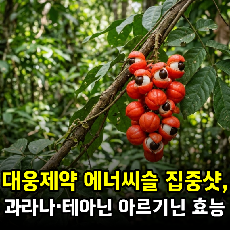 대웅제약 에너씨슬 집중샷, 과라나·테아닌부터 아르기닌까지 성분 효능