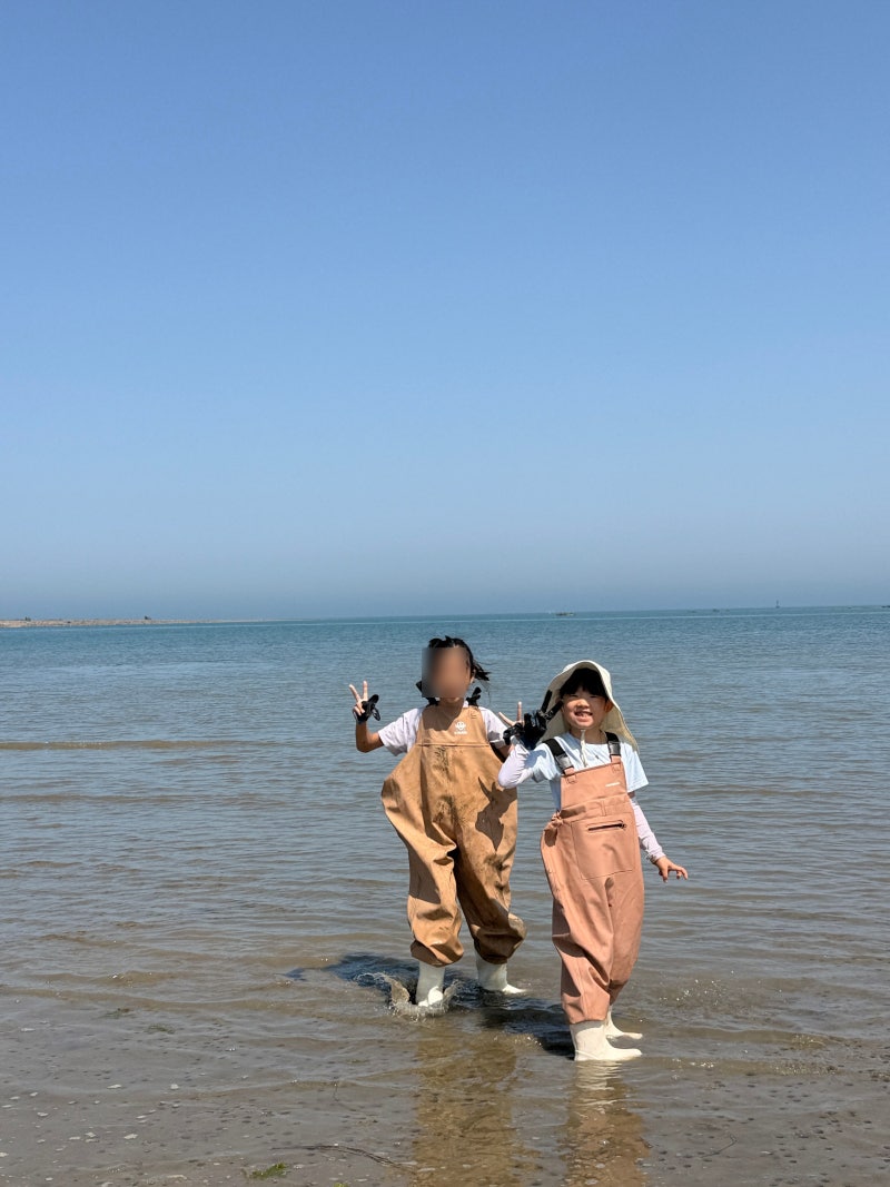 무창포 비체팰리스 아이랑 갯벌체험 해루질 준비물 서해 가족여행