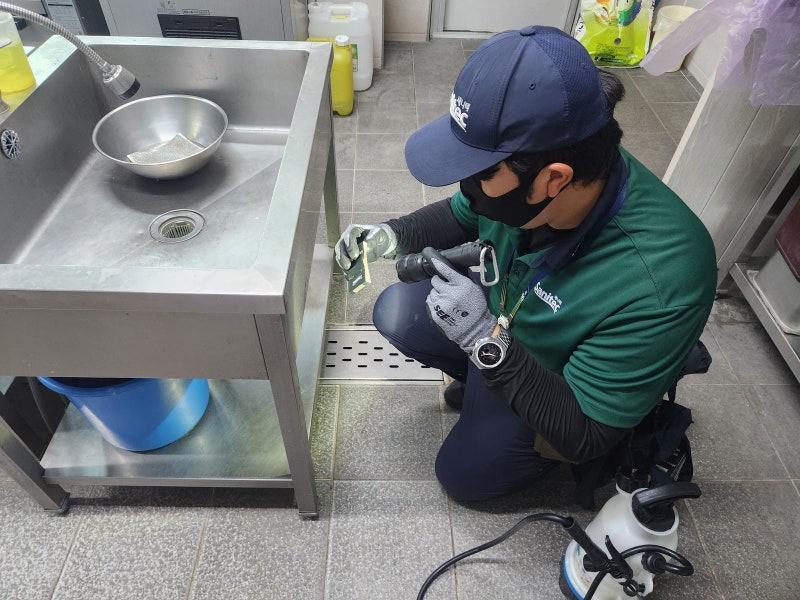 새니텍 해충방제 후기, 단골집 사장님 추천으로 가을 대비!