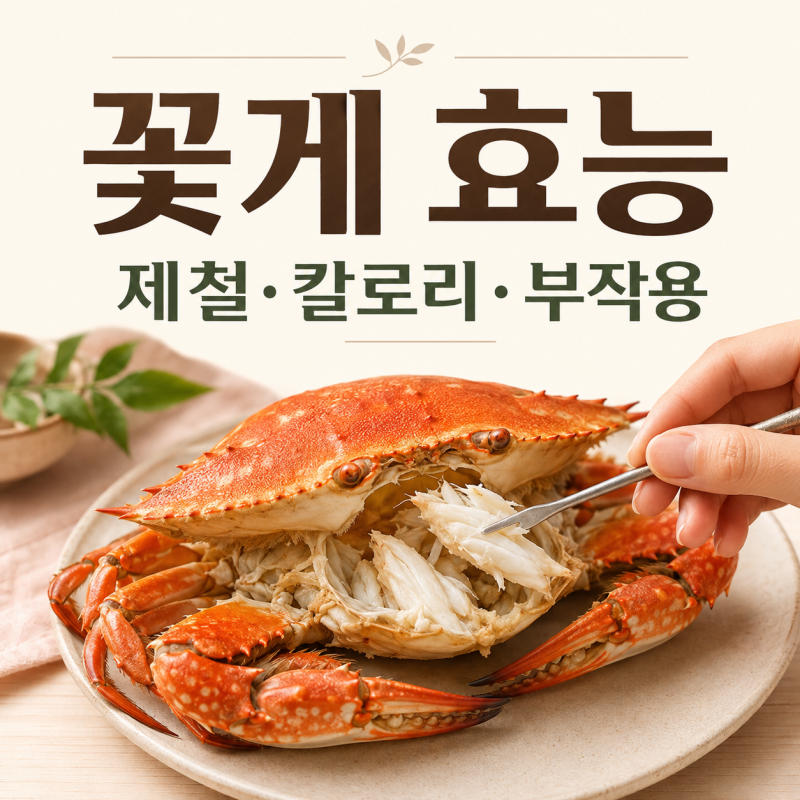 꽃게 효능 제철? 먹는 방법 영양부터 부작용