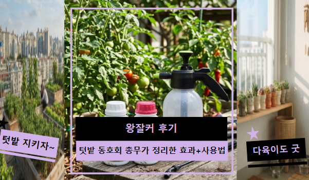 왕잘커 후기 | 텃밭 동호회 총무가 정리했어요