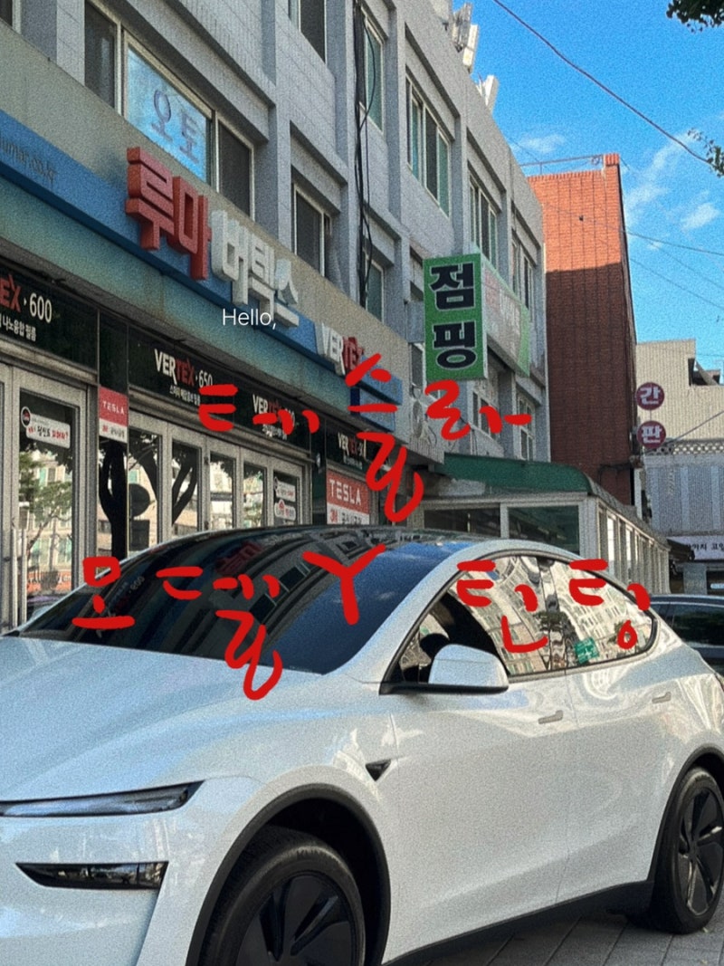 [테슬라 모델Y 출고후기] 테슬라 전문 틴팅샵 시공 후기!(가격/필수악세사리 추천)