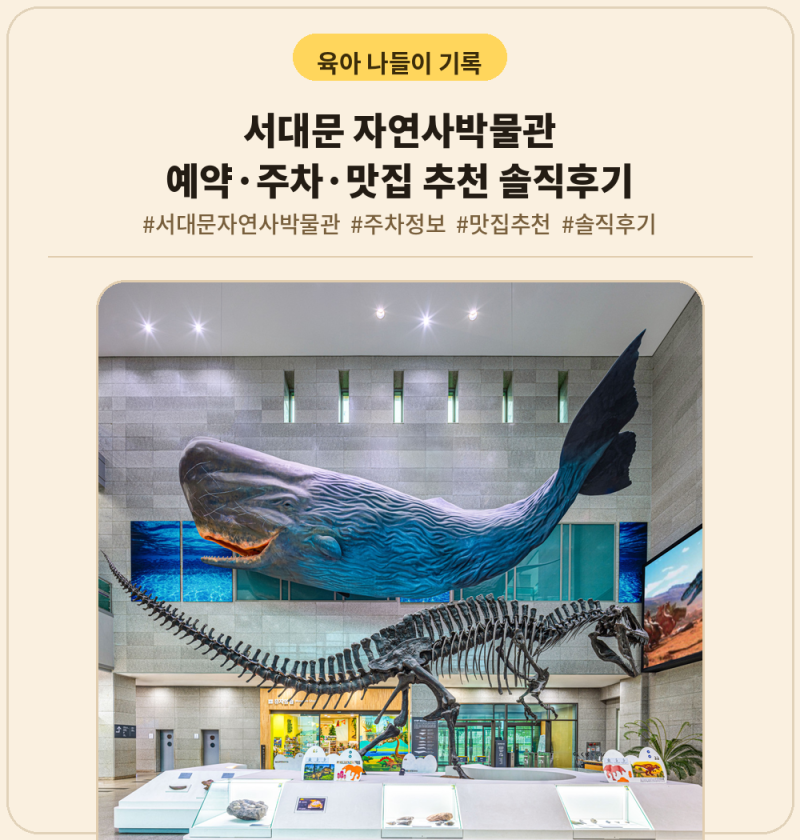 서대문 자연사박물관 예약 주차 맛집 추천 솔직후기