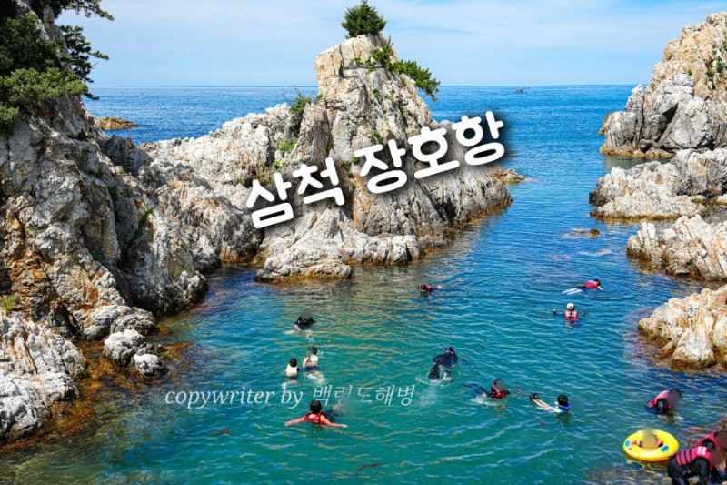 강원도 삼척 가볼만한곳 장호항 스노쿨링 투명카누 주차 샤워