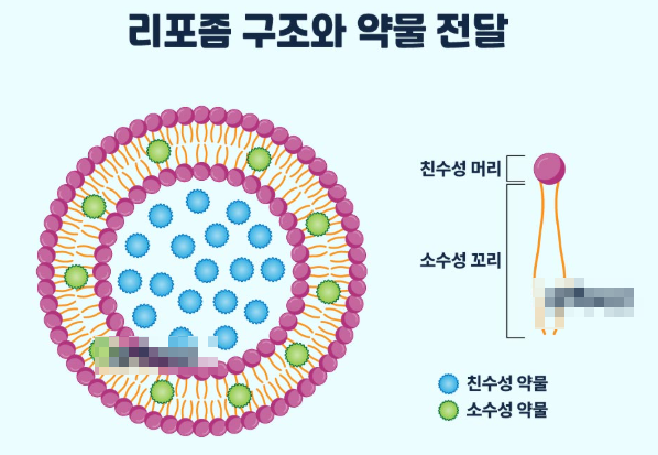 숙면 고함량 멜라토닌 부작용 복용법 이것만 알면 안전합니다