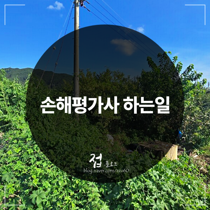 [2026 최신] 은퇴 후 제2의 직업? 손해평가사 하는일