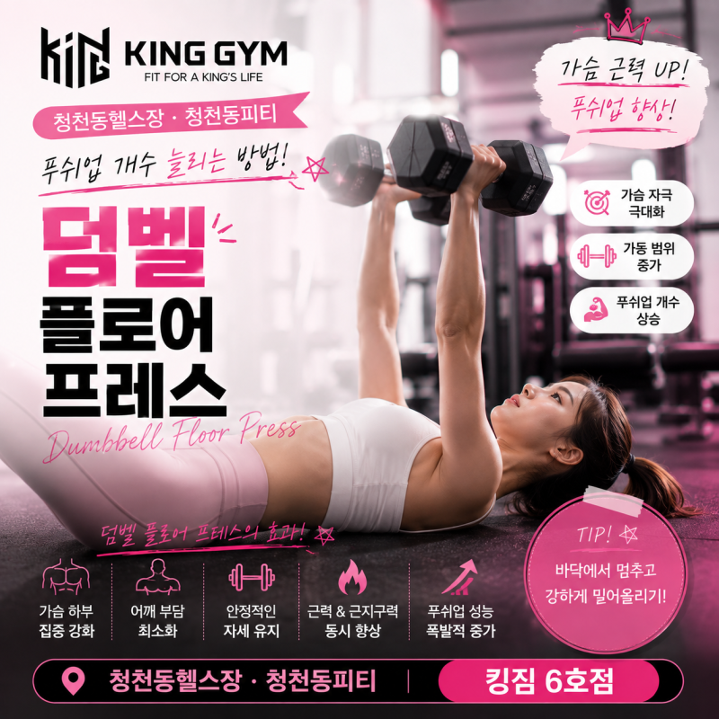 청천동헬스장 청천동피티, 푸쉬업 개수 늘리는 방법｜킹짐6호점 덤벨 플로어 프레스