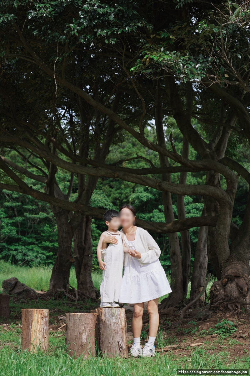 제주 대한 목장, 아이와 가기 좋은 숲속 카페 후기｜스냅사진까지 만족
