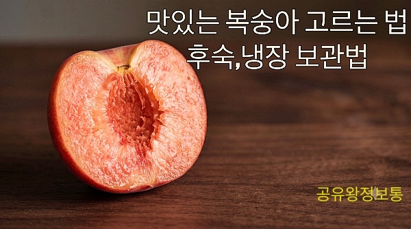 맛있는 복숭아 고르는 법과 후숙 냉장보관법까지 알아보자!