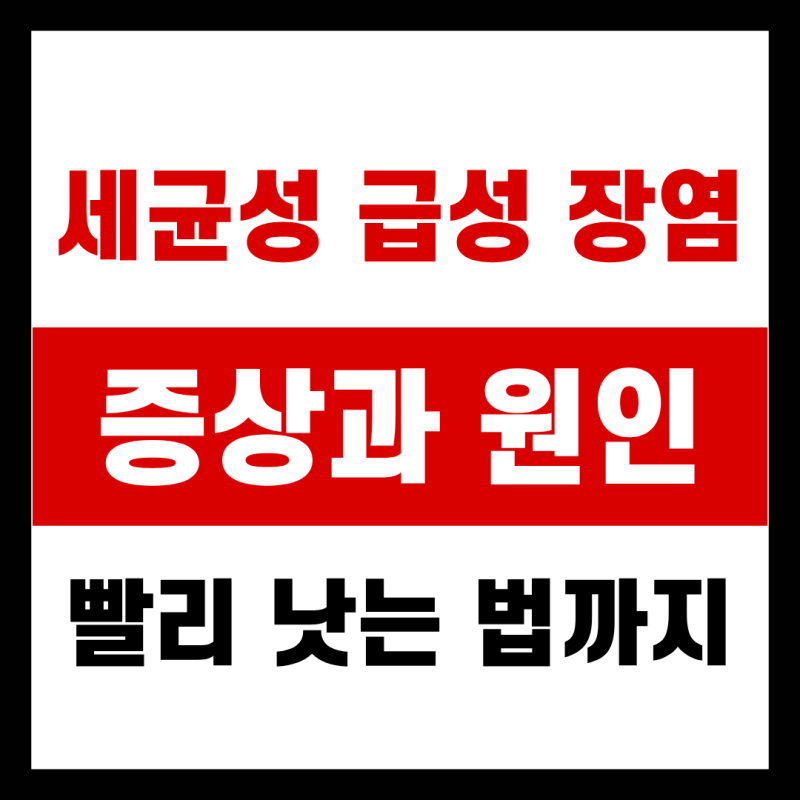 세균성 급성 장염 증상과 원인, 빨리 낫는 법까지