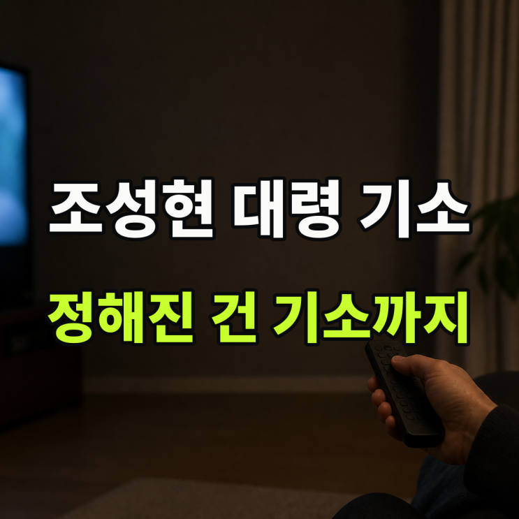 <b>종합특검</b> 조성현 대령 <b>기소</b>, 정해진 건 불구속 재판까지입니다