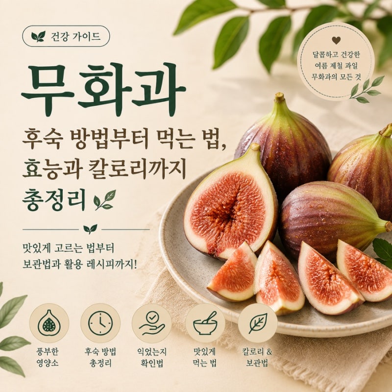 무화과 후숙 후 먹는 방법 효능과 칼로리 당뇨에 제대로 알고 먹기