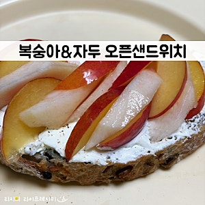 복숭아 오픈샌드위치 레시피 자두 제철 그릭요거트 복숭아 요리 간단 호밀빵 샌드위치 만들....