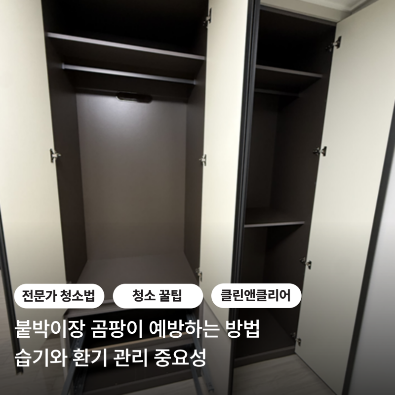 붙박이장 곰팡이 예방하는 방법 습기와 환기 관리가 중요