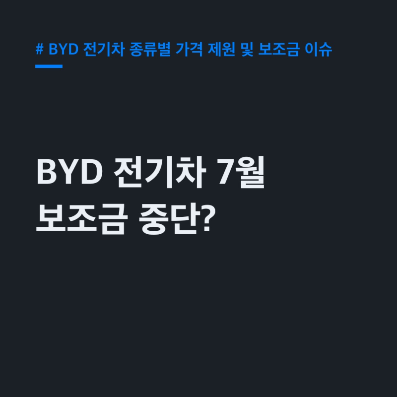 "7월 보조금 끊겨도 살까?" BYD 전기차 종류별 가격 제원 및 보조금 이슈