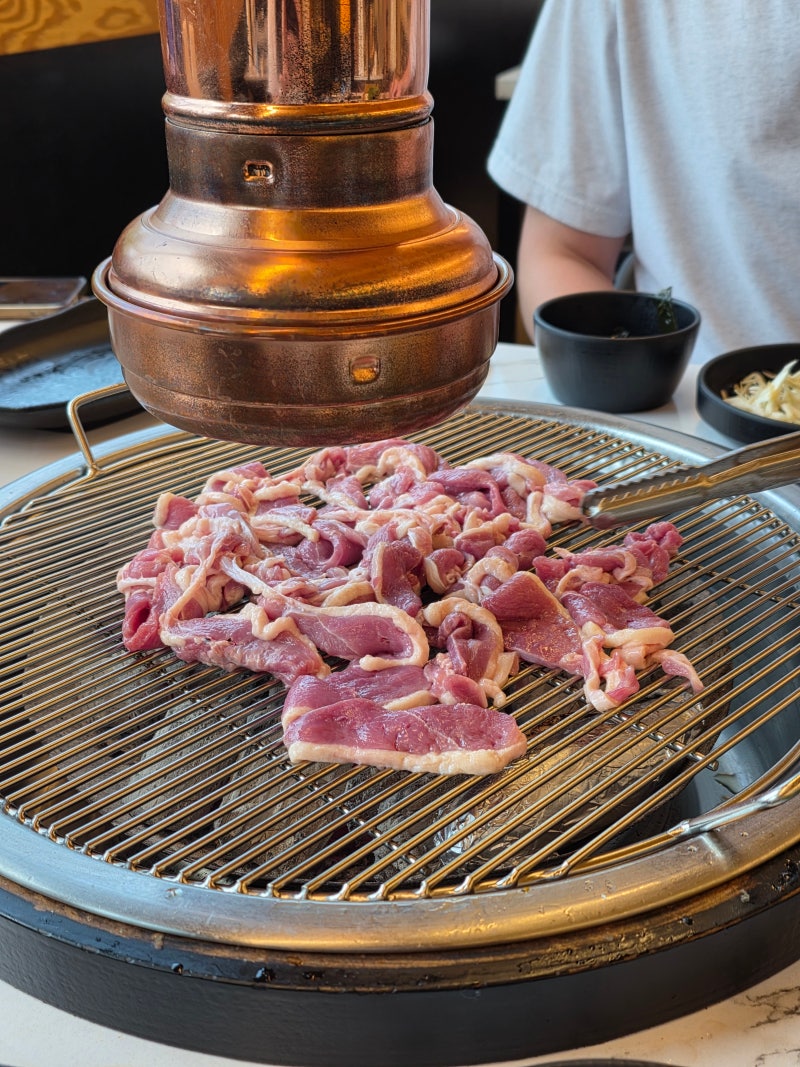 [오리고기,훈제오리 칼로리] 다이어터가 알아야 할 살 안찌는 꿀팁