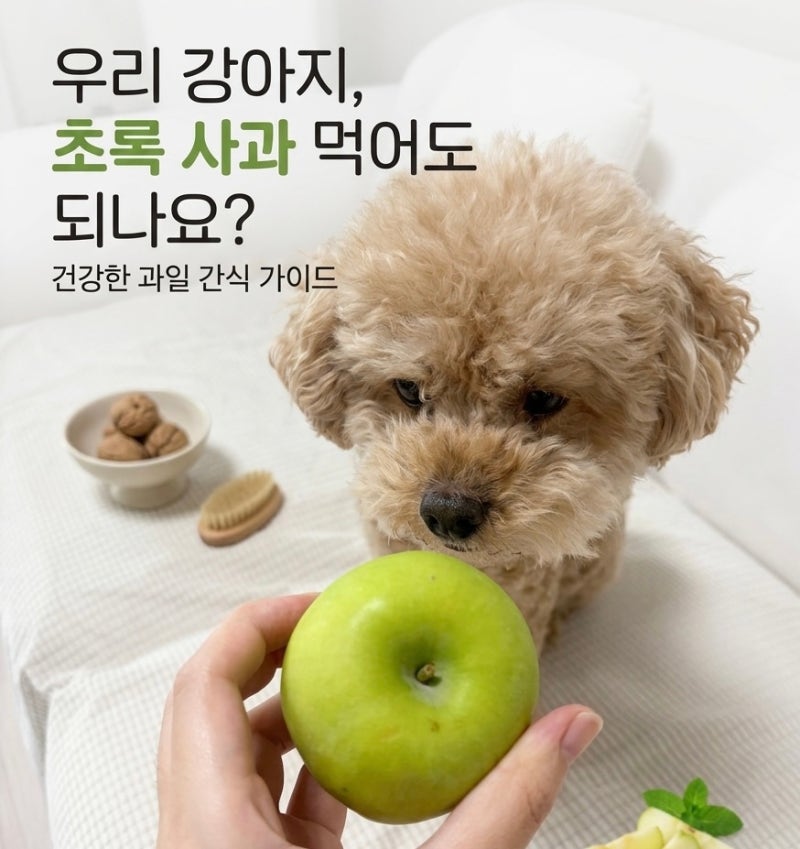 강아지 청사과 먹어도 될까? 급여 시 주의사항과 효능 정리!
