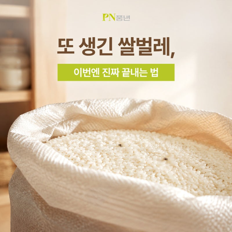 쌀벌레없애는법 & 쌀보관법 총정리