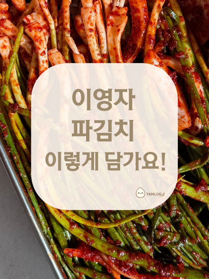 이영자파김치 레시피 쪽파김치 담는법