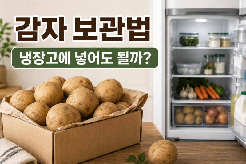 감자 보관법, 냉장고에 넣어도 될까? 제대로 보관하는 방법