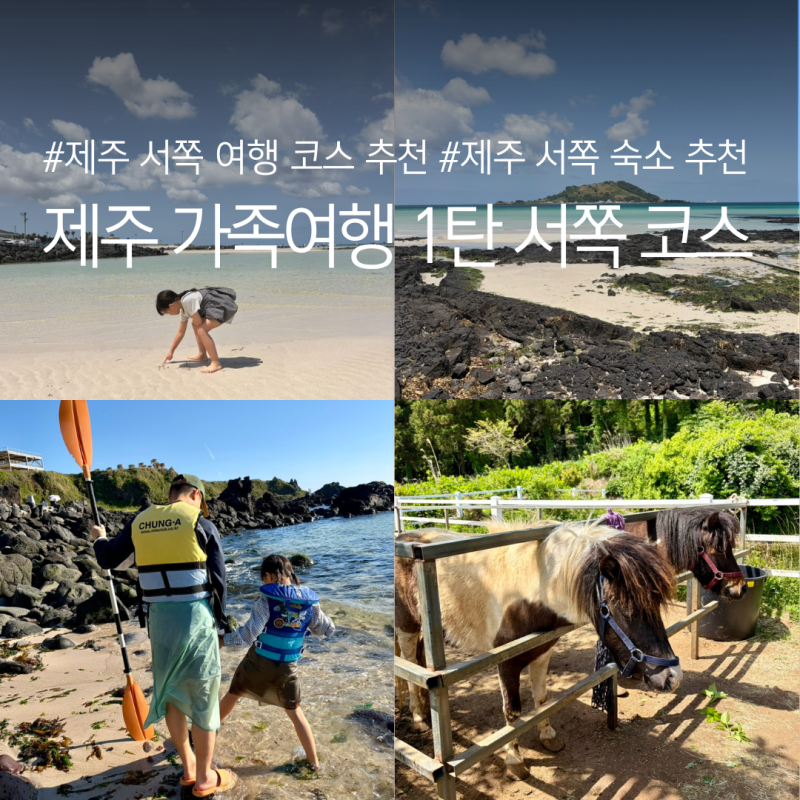 제주 가족여행 1탄 맛집부터 오름까지 제주 서쪽 코스 총정리