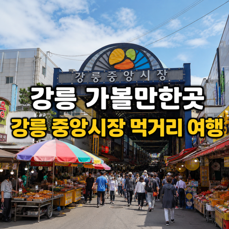 강릉 가볼만한곳 | 강릉 중앙시장 맛집부터 월화거리까지 여행 가이드