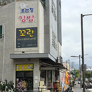 제주 김밥맛집 오는정김밥 전화예약방법 주차장 픽업 맛 후기 내돈내산