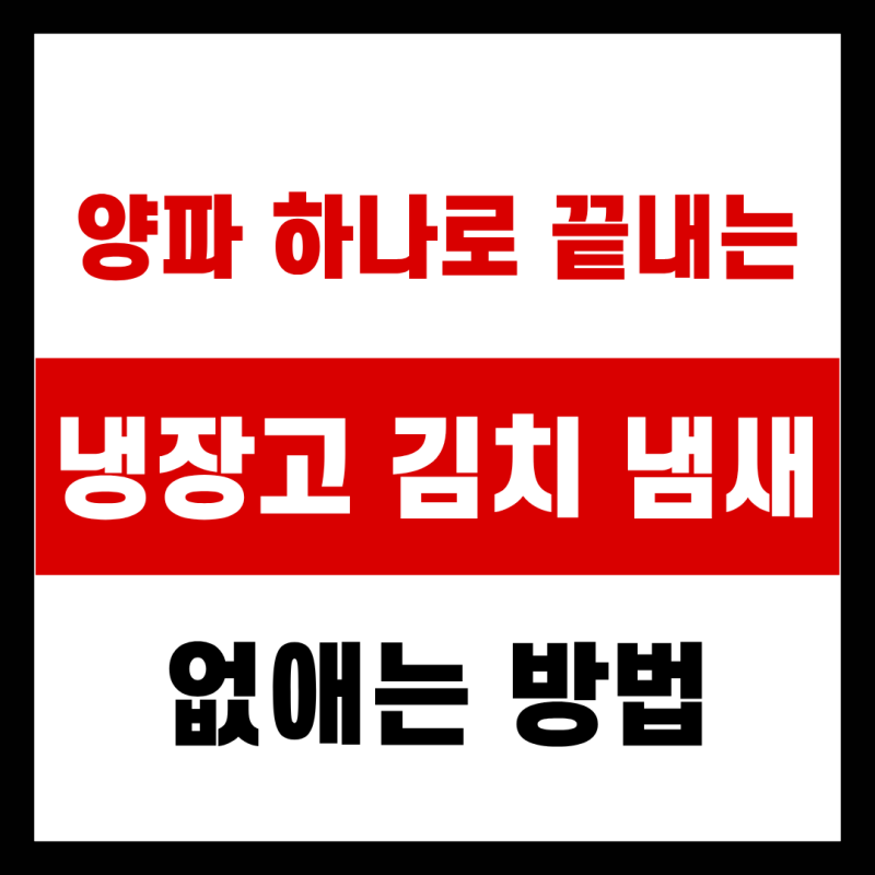양파 하나로 끝내는, 냉장고 김치 냄새 없애는 법
