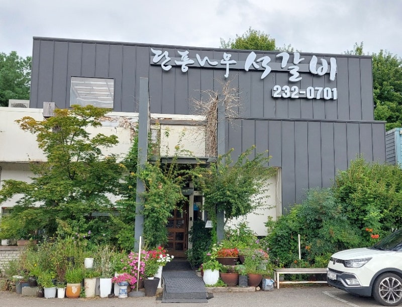 [충북 청주 맛집] 단풍나무 석갈비 청주 로컬 맛집 후기