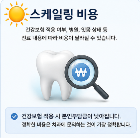 스케일링 가격 얼마일까? 건강보험 적용 비용과 주기까지 총정리