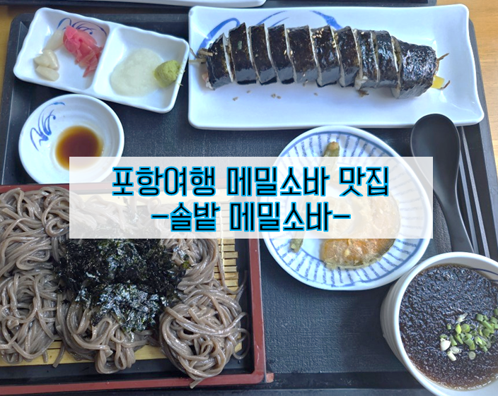 포항여행갔는데 색다른 메뉴 뭐 없을까? 솔밭 메밀소바에서 시원한 메밀소바 즐겨본 후기